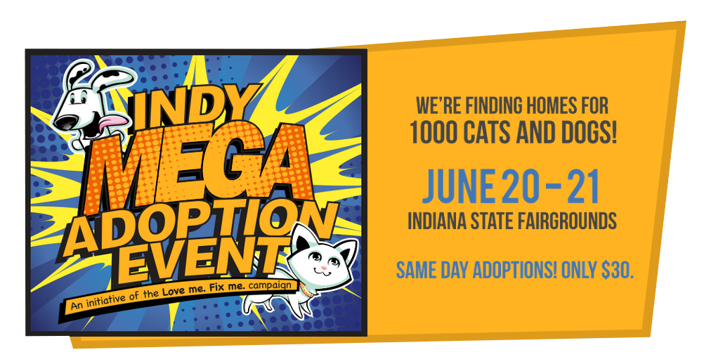 Indy Mega Pet Adoption WFMS