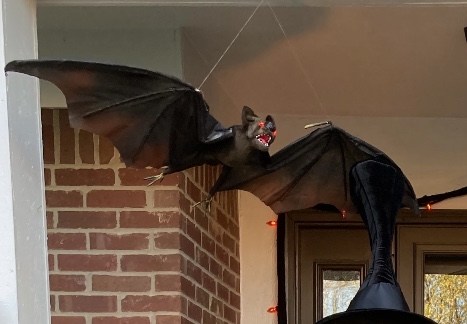 real giant bat